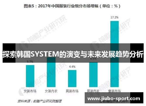 探索韩国SYSTEM的演变与未来发展趋势分析